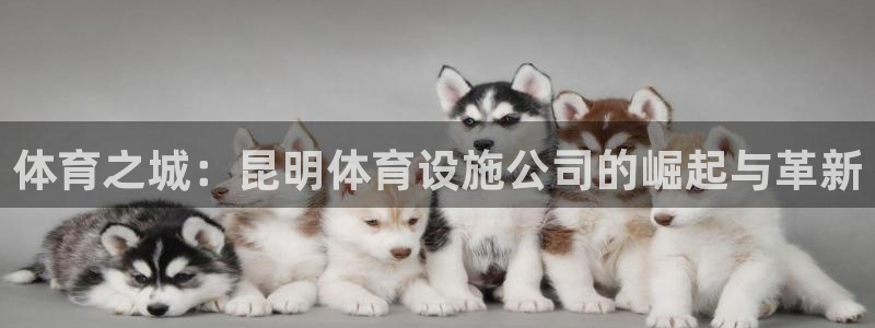 意昂5(KGAME)体育平台注册要钱吗安全吗：体育之城：昆明