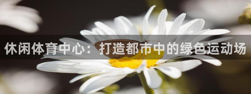 意昂5(KGAME)体育招商电话：休闲体育中心：打造都市中的 
