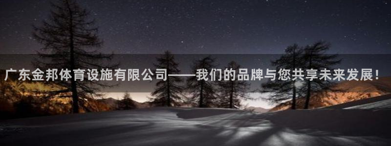 意昂5(KGAME)神州：广东金邦体育设施有限公司——我们的