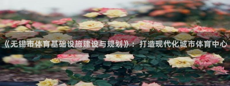 意昂5(KGAME)体育招商电话地址查询：《无锡市体育基础设