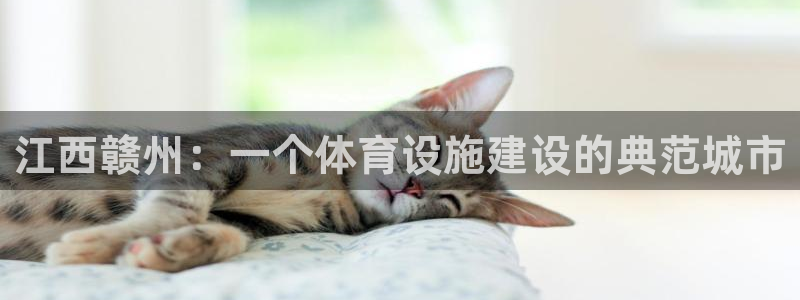 德国意昂5(KGAME)集团：江西赣州：一个体育设施建设的典