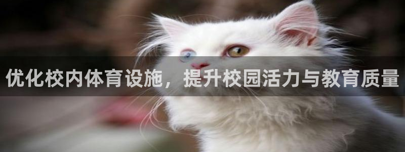 意昂5(KGAME)代理：优化校内体育设施，提升校园活力与教