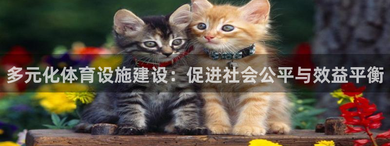 意昂5(KGAME)神州：多元化体育设施建设：促进社会公平与