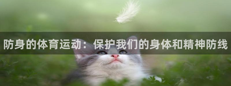 谈球吧体育官网