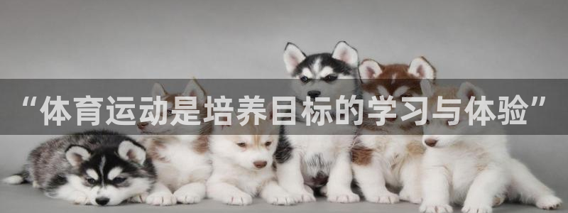 谈球吧