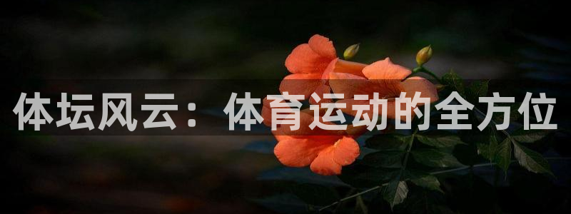 谈球吧