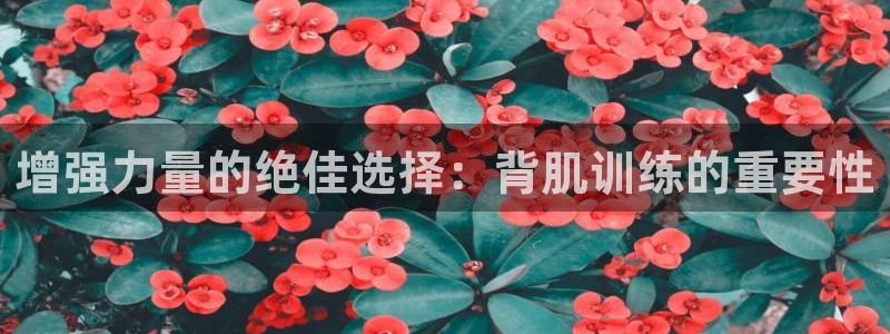 谈球吧