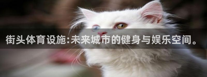 意昂5(KGAME)娱乐平台：街头体育设施:未来城市的健身与